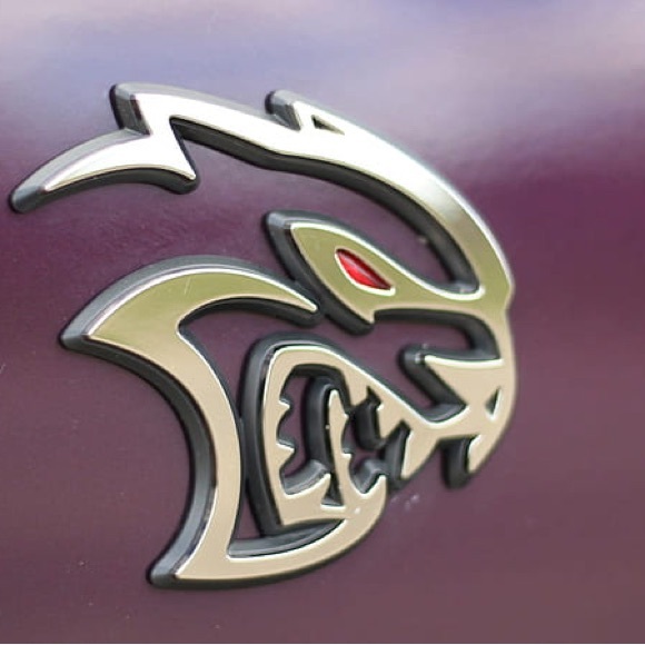 Meet your Posher, Mateo - Picture 2 of 5